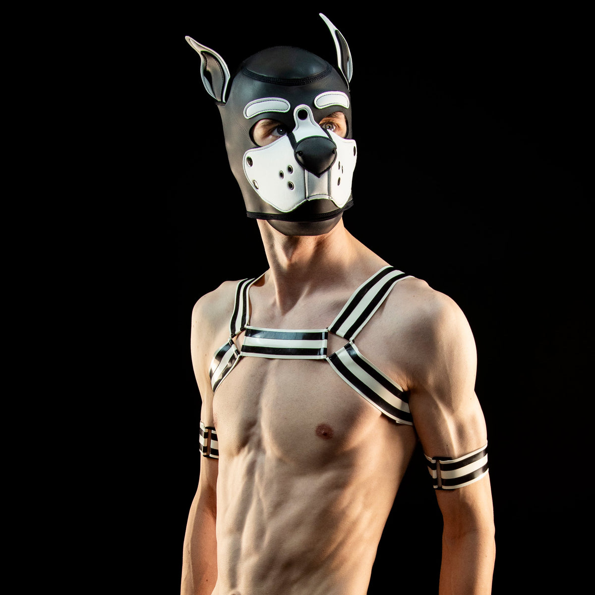A muscular male model wearing a black and white dog collar mask, a matching harness with armbands, and white briefs, posed against a solid black background.