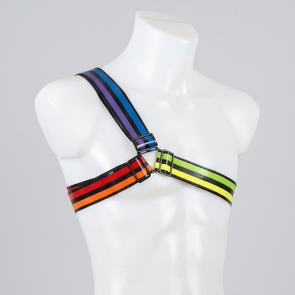 Y Shape Single Arm Harness - Pride '26