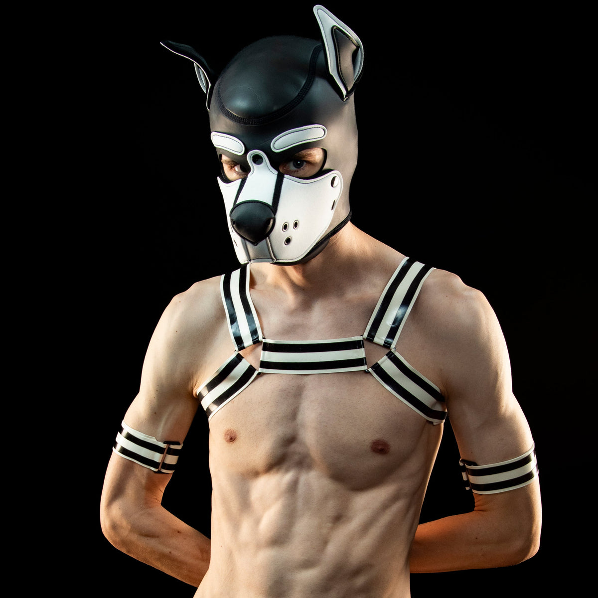 A muscular male model wearing a black and white puppy dog mask, a matching black and white harness, armbands, and dog briefs, posed against a solid black background.