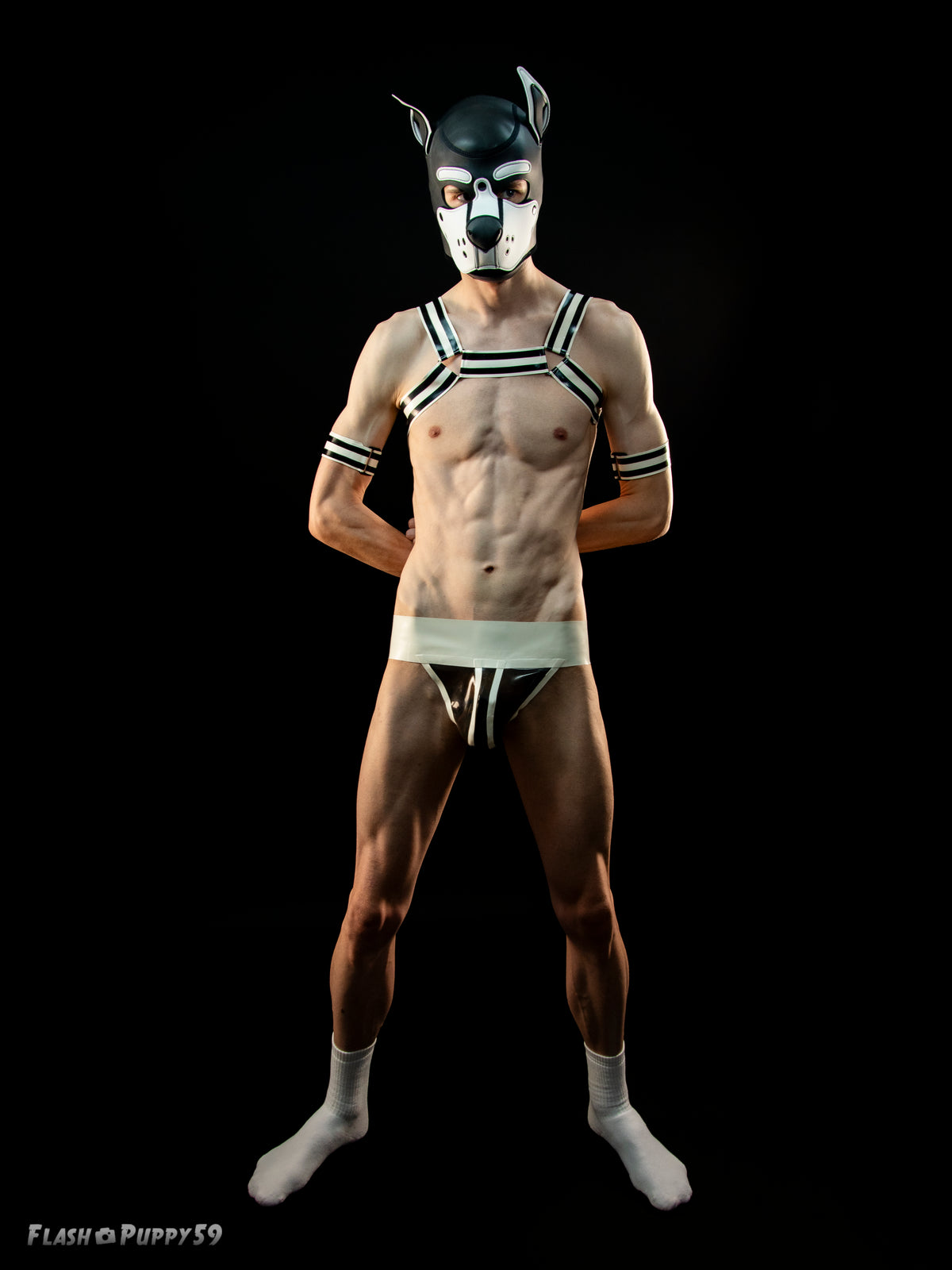 Full 'H' Shape Harness (White/Black)