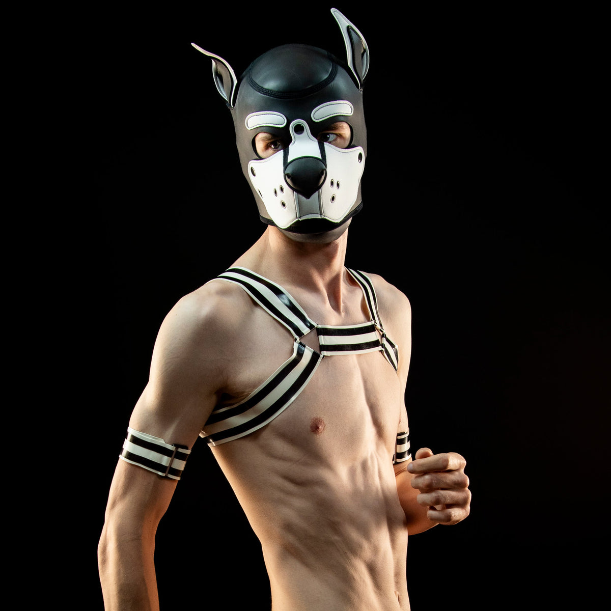 A shirtless male model wearing a black-and-white puppy dog wrestling mask, a black-and-white harness, and white briefs, posed against a solid black background.