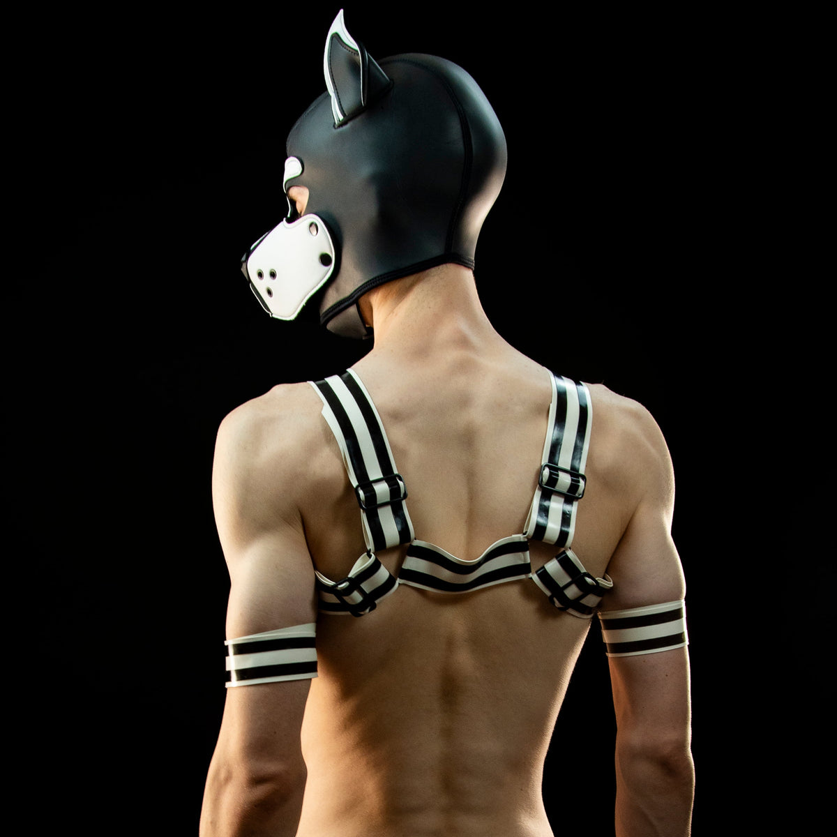 Full 'H' Shape Harness (White/Black)