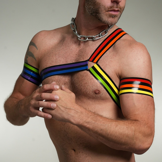 Y Shape Single Arm Harness - Pride '26